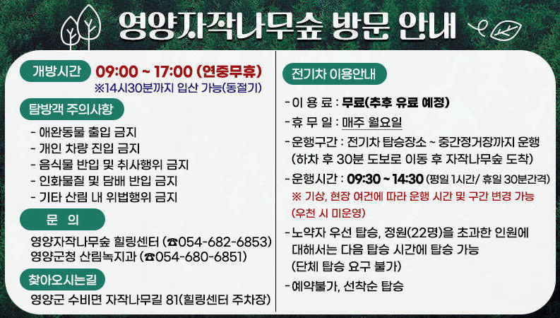 영양 자작나무숲 방문안내
