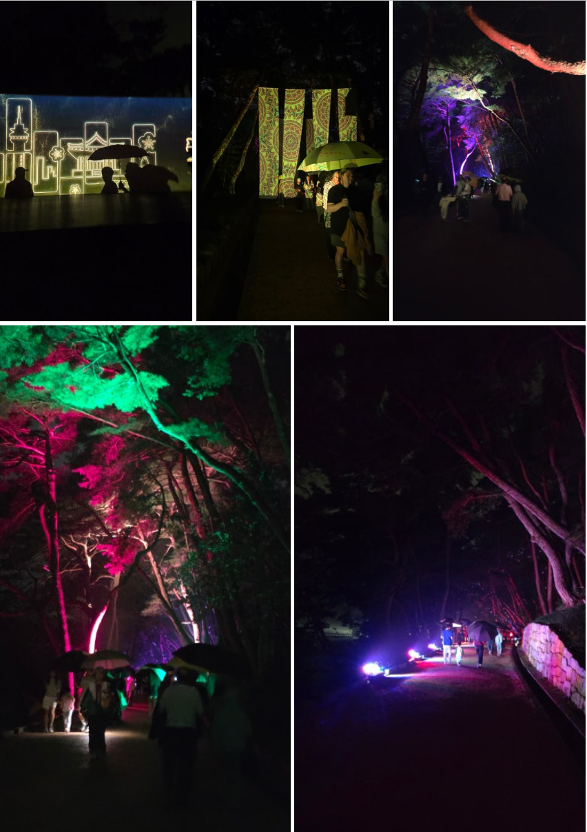 2025 국가유산 미디어아트 통도사