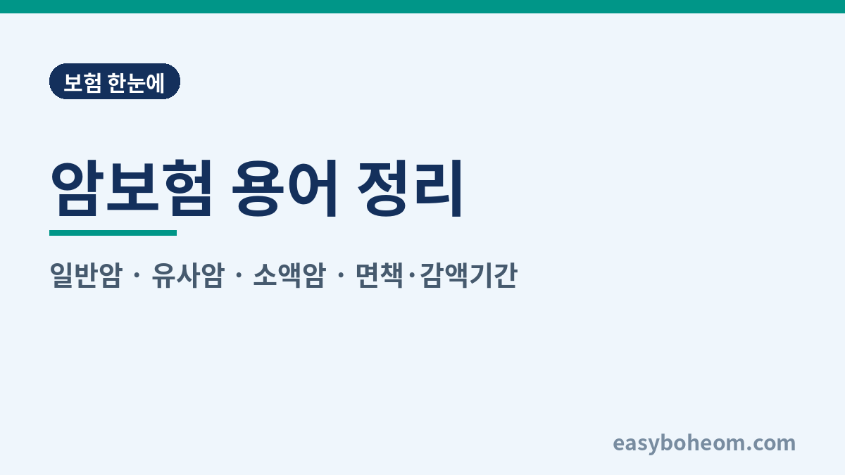 암보험 용어 정리 대표 이미지
