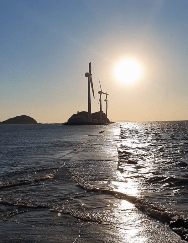 안산 탄도항 썰물