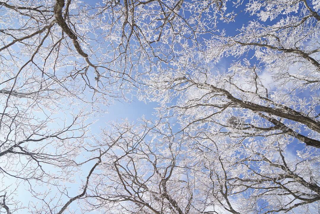 한라산 탐방예약 방법 등산코스 설경