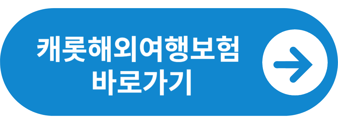 캐롯 해외여행보험
