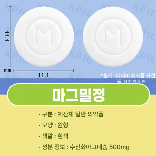 마그밀정