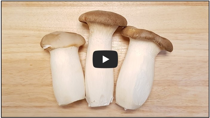 다이어트 유튜버 순위 TOP 10 5