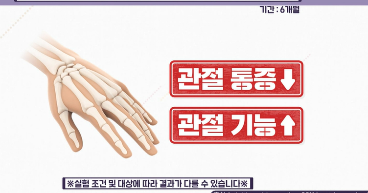 콘드로이친 효능