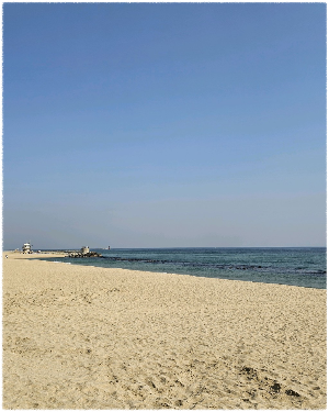 강문해변