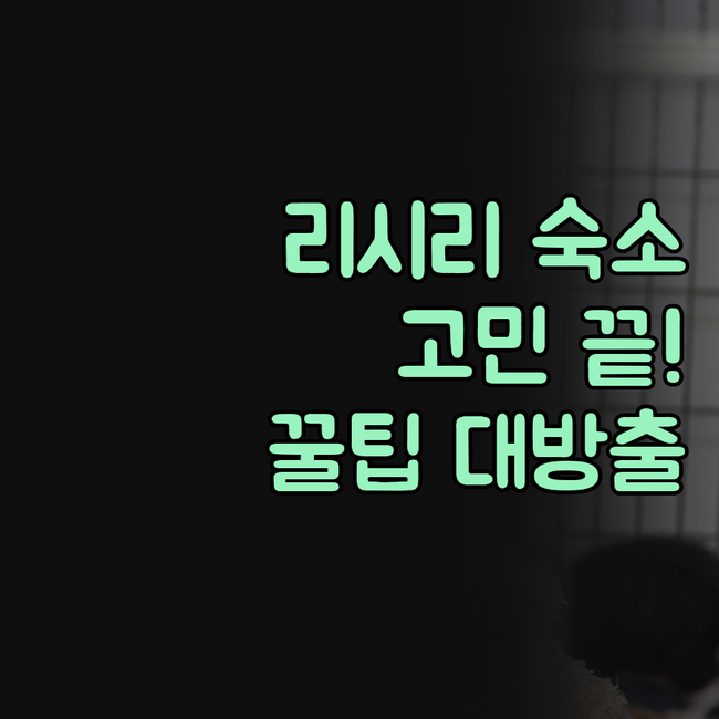 리시리 여행, 숙소 고민 끝! 현지인