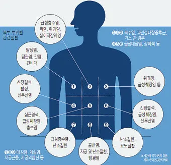 배를 콕콕 찌르는 통증의 8가지 원인 하는법 알아보기로 정리_3