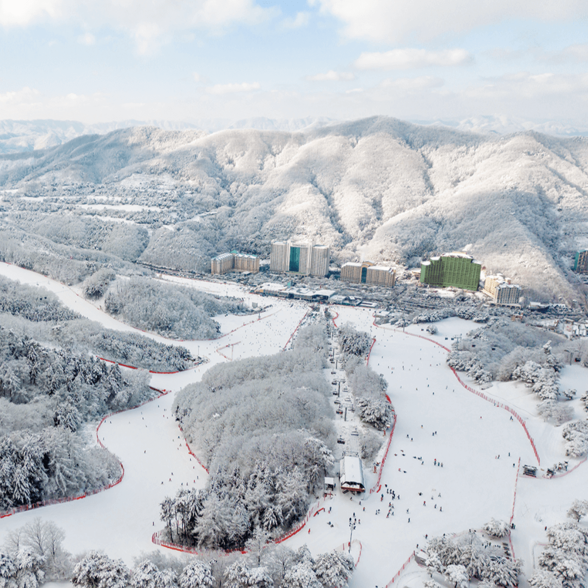 스키장, 비발디파크