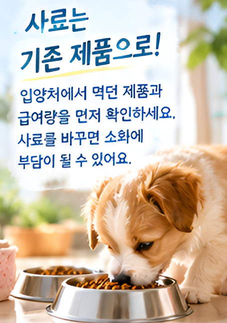 반려견 처음 키울 때 필수 준비물, 체크리스트, 첫날부터 덜 당황하는 준비법