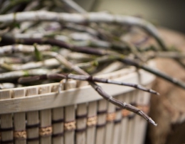 공진단 보관방법