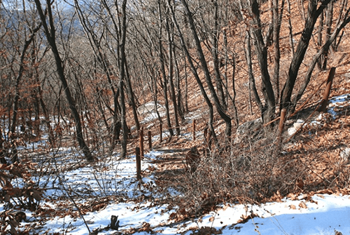 사패산4
