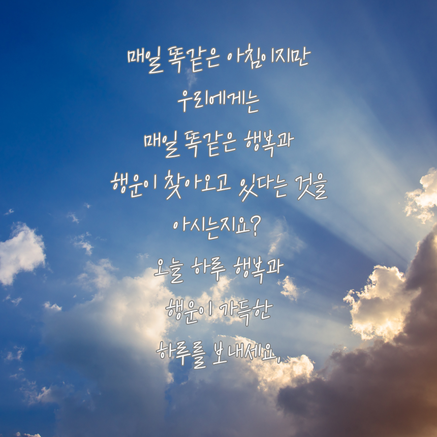 아침 인사로 좋은 글귀 이미지 문구 모음
