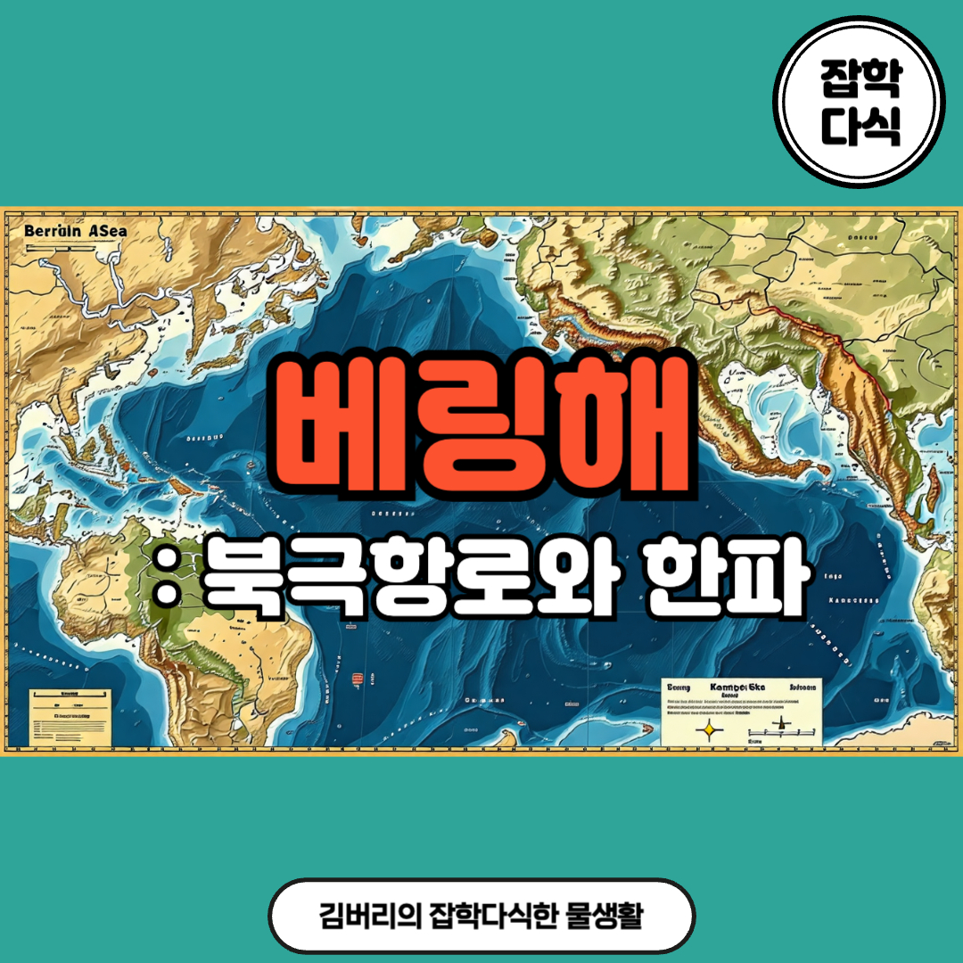 베링해, 북극항로와 한파