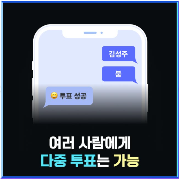대국민문자투표
