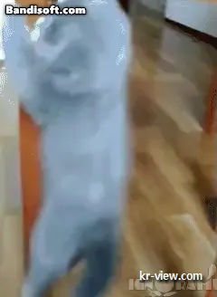 img.webp?credential=yqXZFxpELC7KVnFOS48ylbz2pIh7yKj8&expires=1767193199&allow_ip=&allow_referer=&signature=81cnKvYNm6PPzyvQ6mqyHn7z390%3D