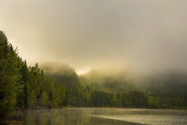 아침 인사로 좋은 글 이쁜글 기분좋은 인사말_9