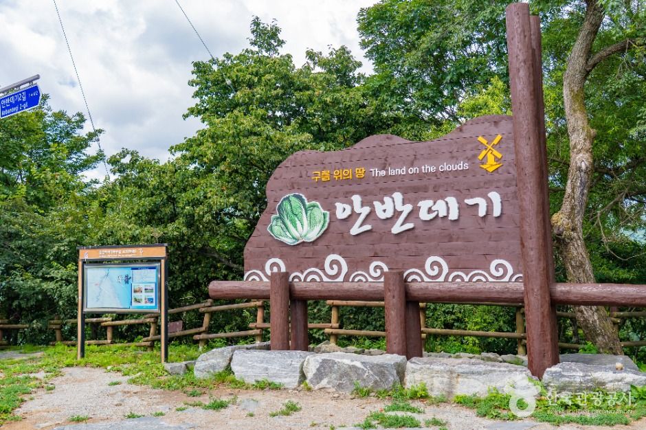 안반데기 평창 강원도 고랭지배추 감자 은하수 운해 풍력발전기