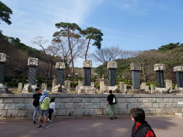 통도사 벚꽃 & 사찰 여행