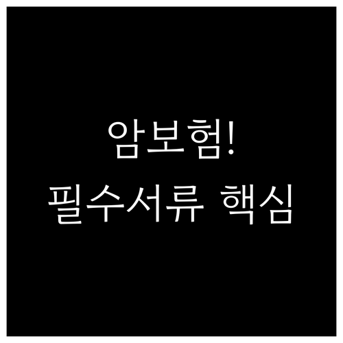 메트라이프 암보험금 청구 필수 서류와..