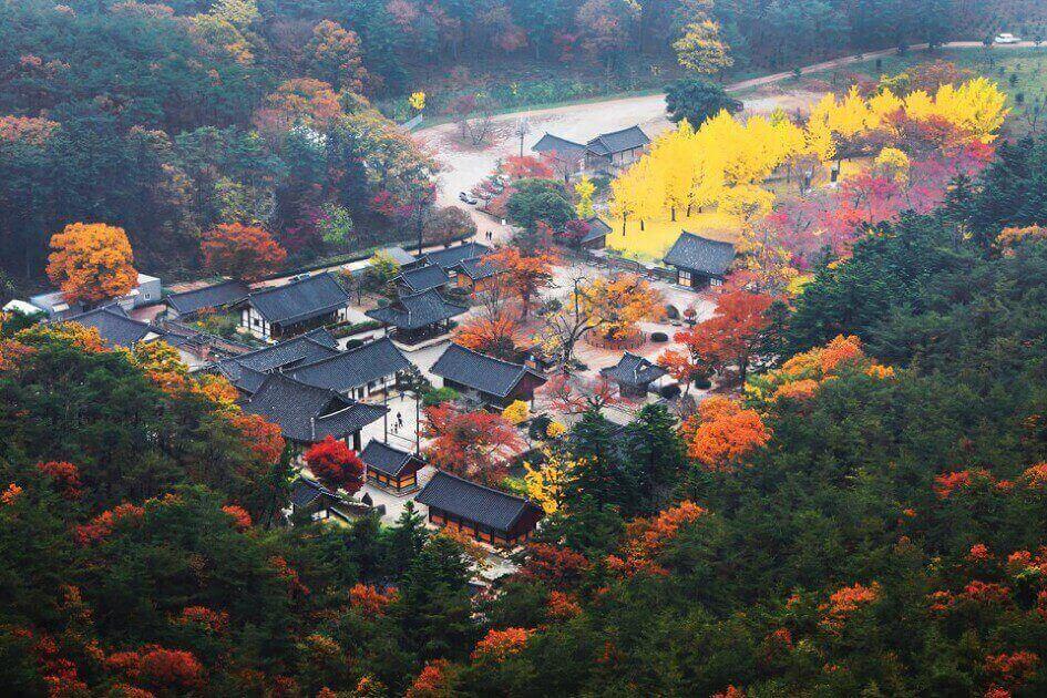 금전산
