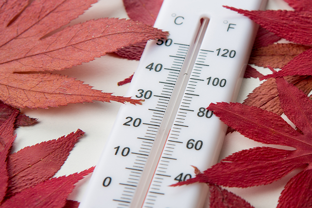 2024년 추석 날씨