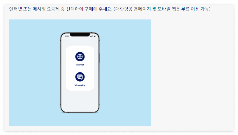 인터넷 또는 메시징 요금제 중 선택
