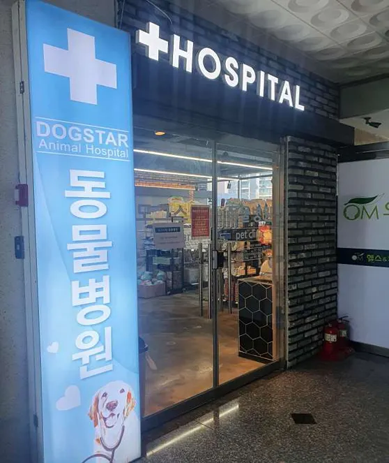 도그스타동물병원
