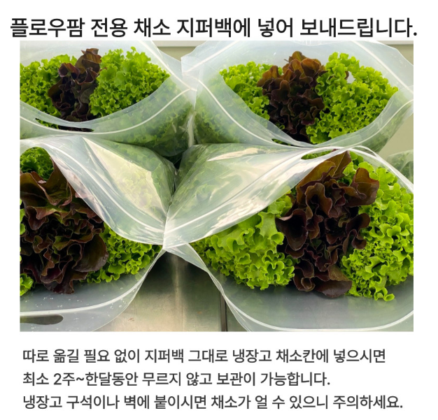 생방송투데이 이주의 장바구니 아쿠아포닉스 16종 유럽 잎채소 구매방법 밀양 플로우팜