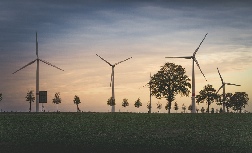 기후행동 기회소득