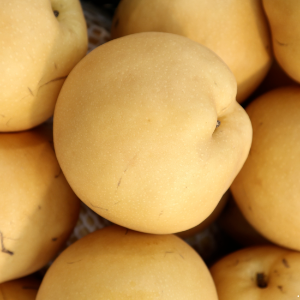 저나트륨-식품-배