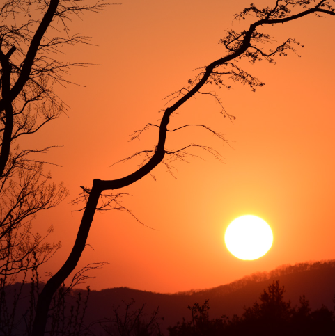 대구 군위 사유원 관람 예약
