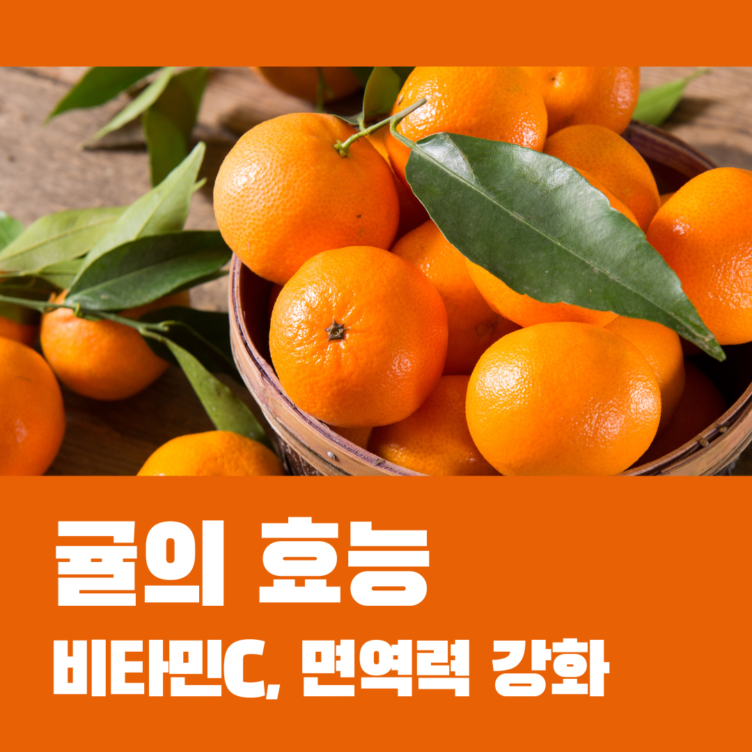 비타민C 폭탄! 귤의 숨은 효능