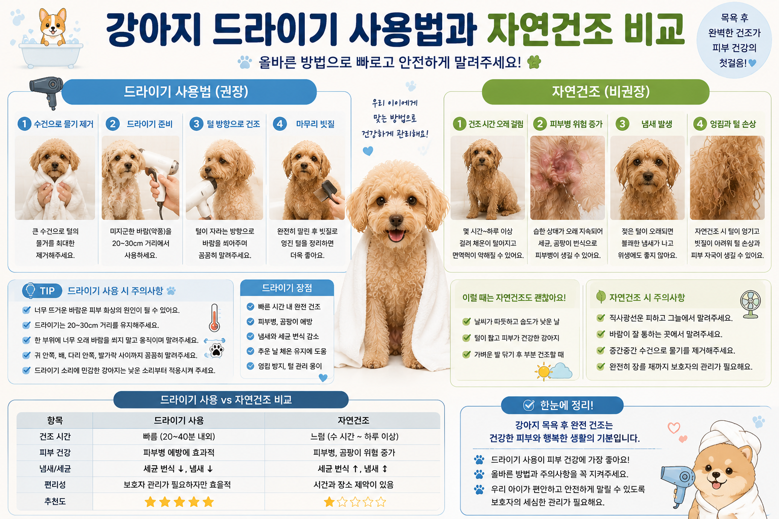 강아지 드라이기 사용법과 자연건조 비교 이미지, 강아지 목욕 후 말리기, 강아지 드라이기 사용법, 강아지 자연건조, 강아지 털 말리는 방법, 강아지 피부병 예방, 외이염 예방, 강아지 목욕 방법, 강아지 목욕 후 관리, 강아지 털 완전히 말리기