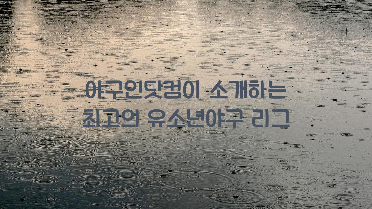야구인닷컴