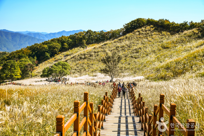 포천 명성산 억새꽃축제 가을에 여행하기 좋은곳 추천