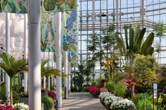 2025 국립 세종수목원 가을꽃축제-세록세록