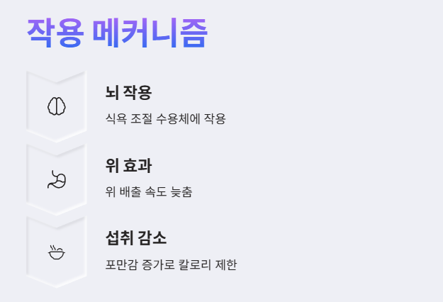 작용메카니즘