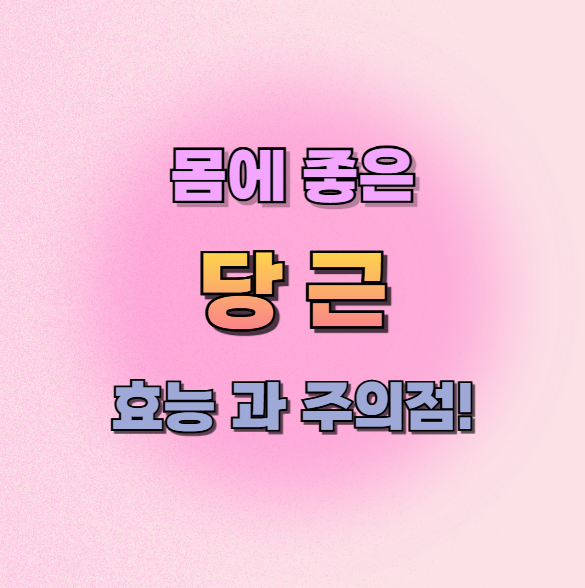 당근의효능