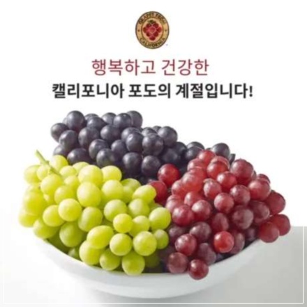 캐시워크 돈버는 퀴즈