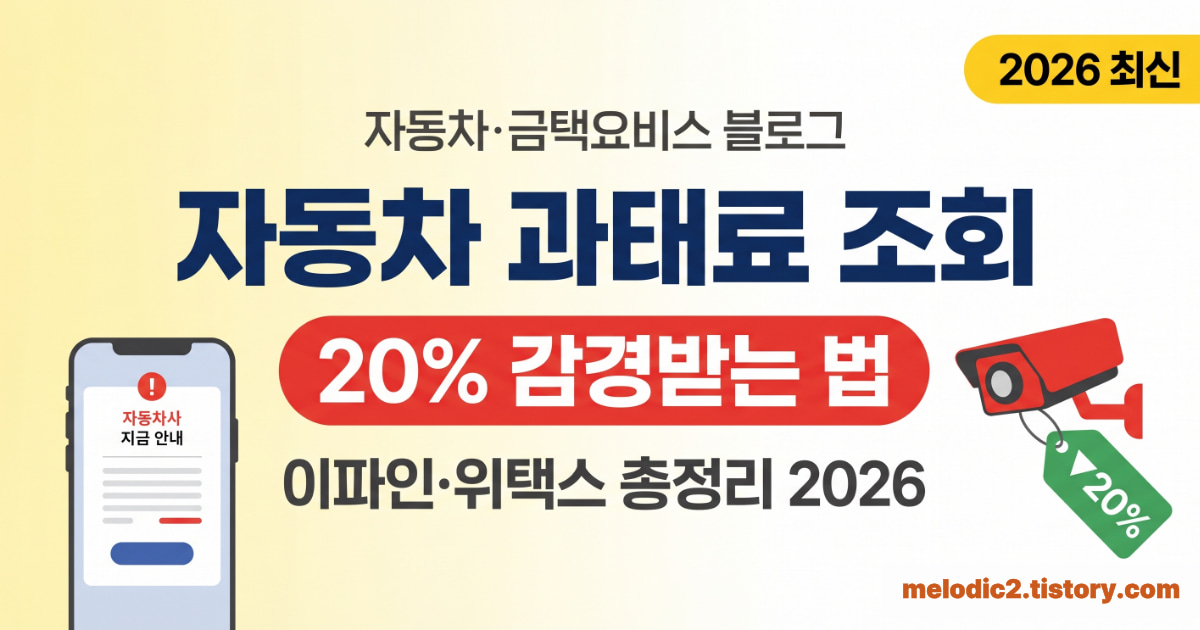 자동차 과태료 조회 20% 감경받는 법 이파인 위택스 2026