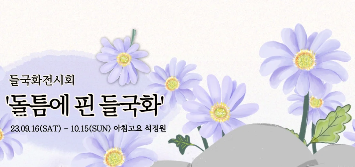 아침고요수목원 들국화전시회