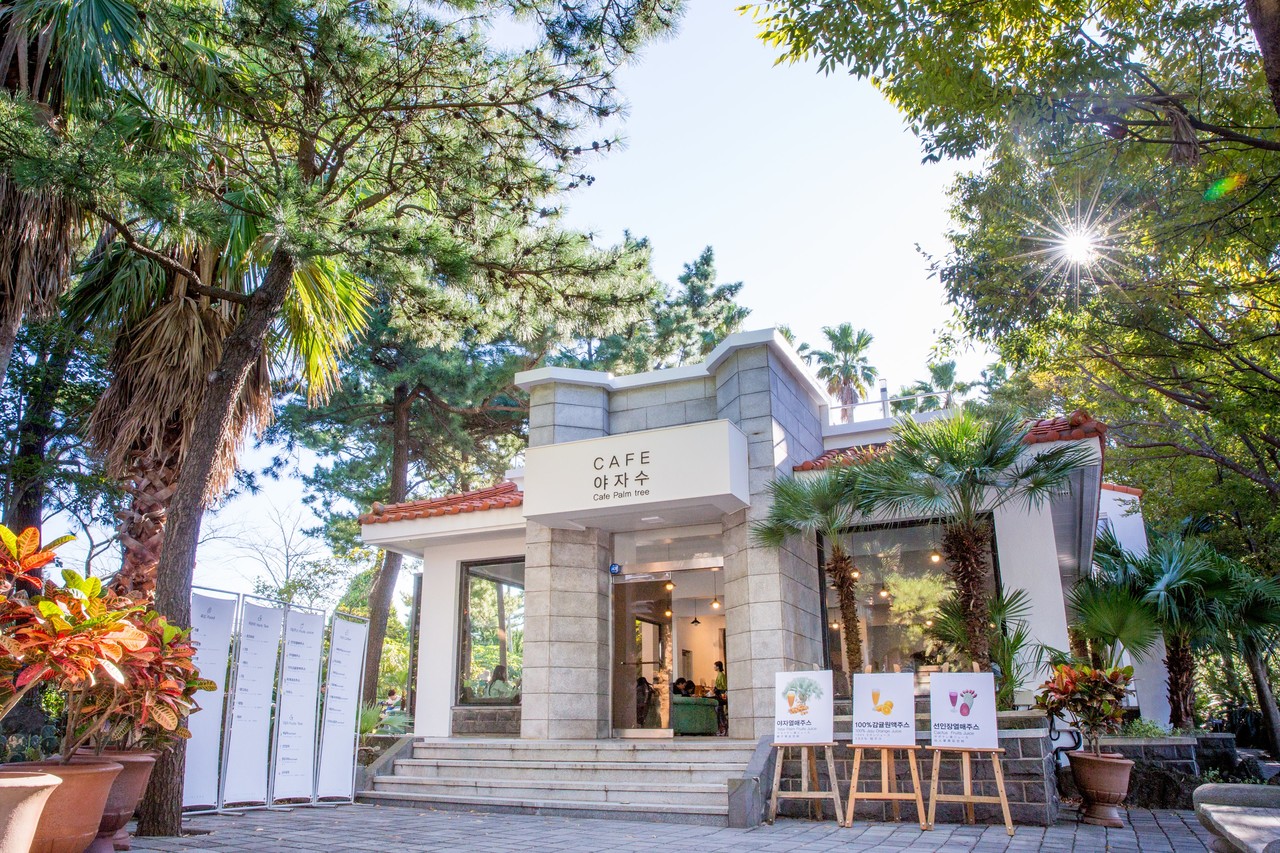 한림공원 부겐빌레아 축제