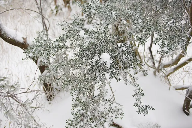 실시간 제주도 제주날씨 주간예보로_9