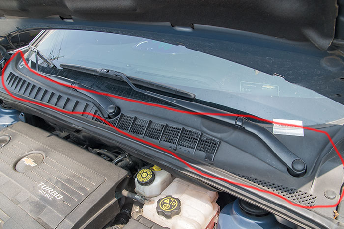 올란도 카울 커버