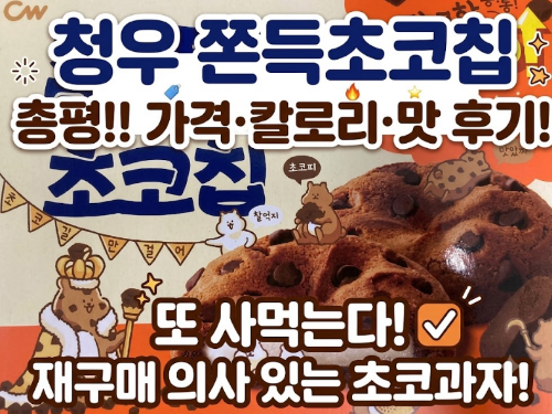 청우 쫀득초코칩 가격 칼로리맛 후기, 재구매 의사 있는 초코과자