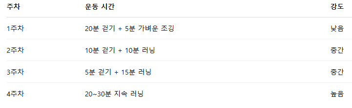 러닝 초보자 가이드
