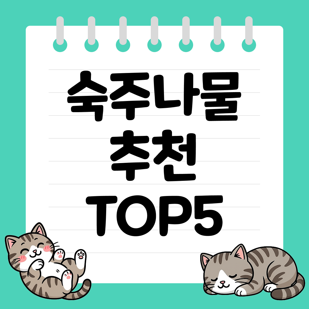 2025년 10월 3주차&nbsp;쿠팡 숙주나물 추천 순위 TOP5