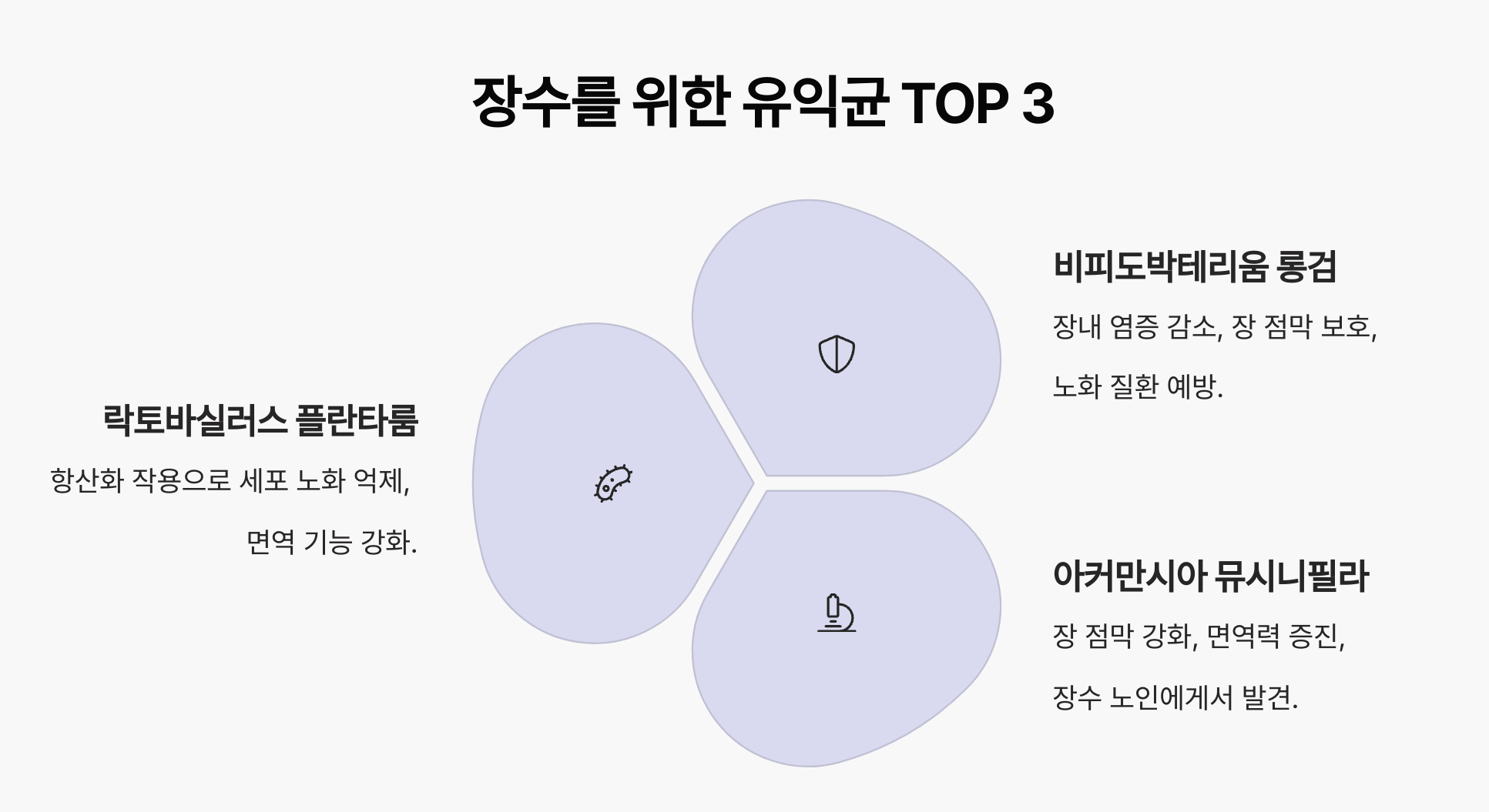 3종 유익균의 기능을 한눈에 보여주는 요약 다이어그램