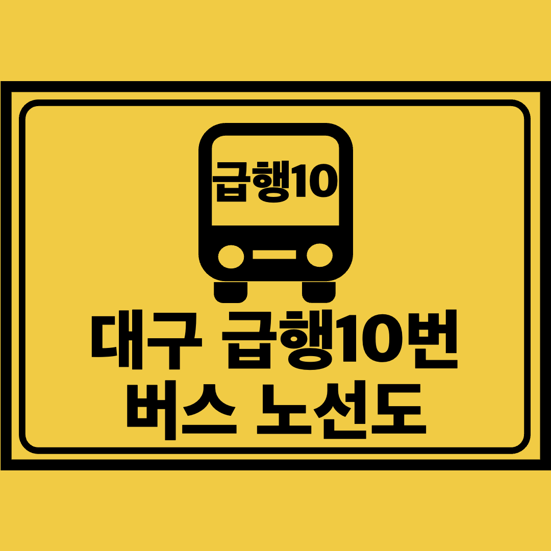 대구급행10번버스노선도
